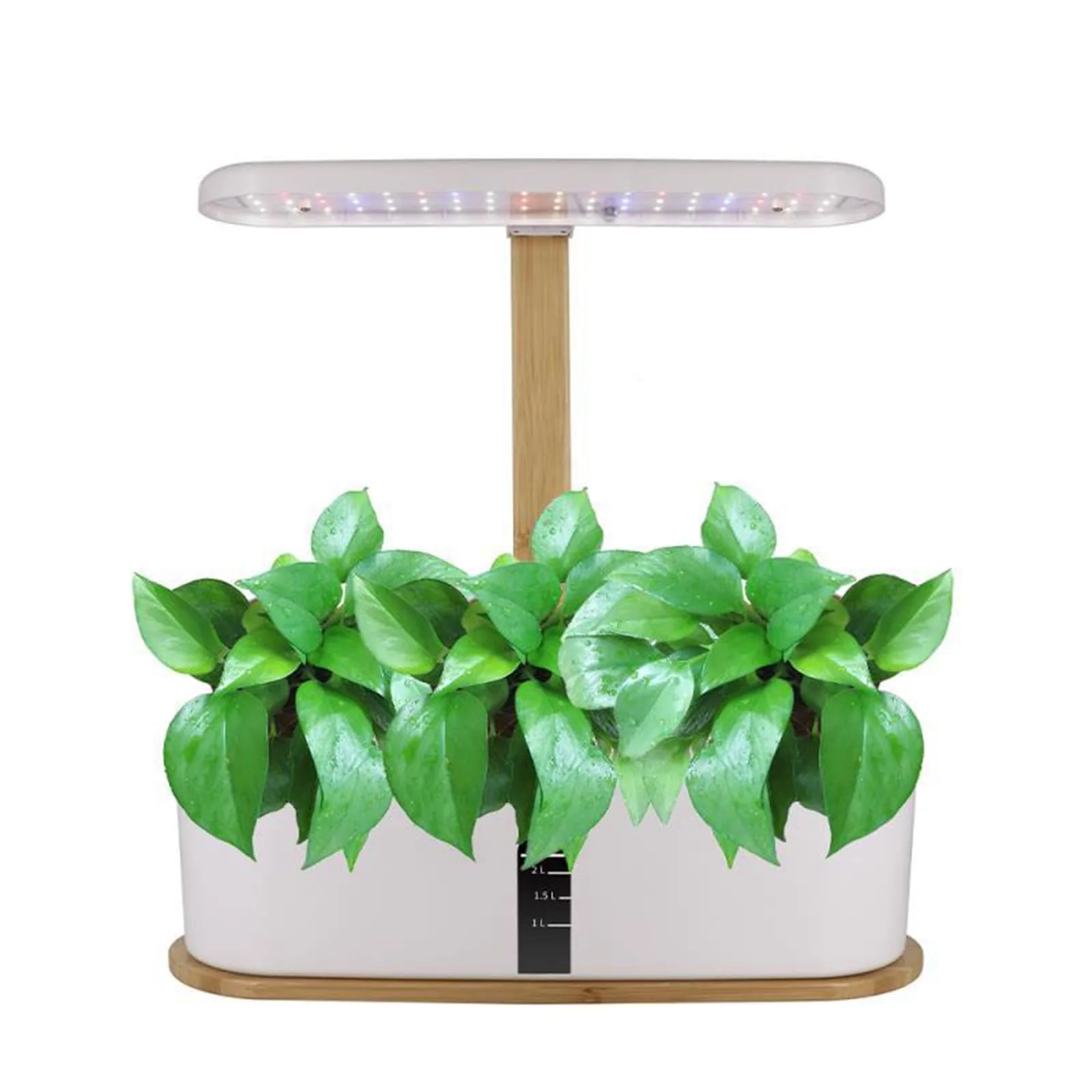 Potager Interieur