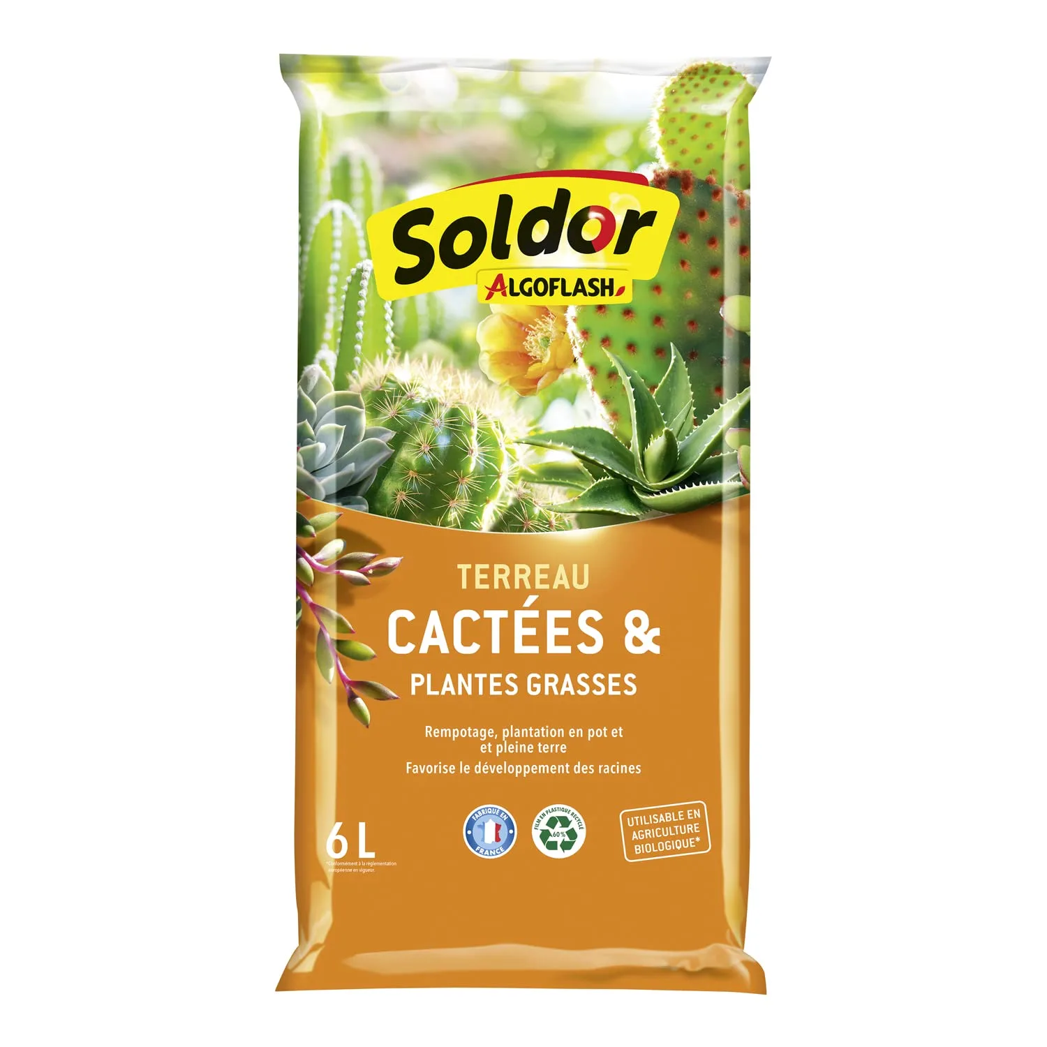 Algoflash Cactées